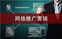 网络公司推广哪家好