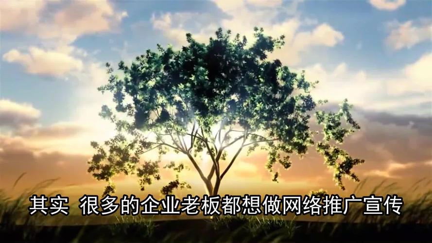哈尔滨网络营销推广产品宣传企业营销宣传公司